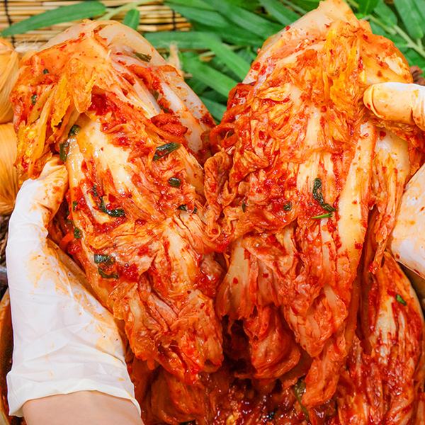 전라도식 배추김치 일반 프리미엄 5kg 10kg